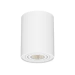 Complus Surface-Mounted LED Downlight 7.4W Adjustable, 350° Rotation